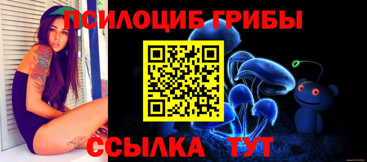 Псилоцибиновые грибы Psilocybine cubensis  Вход с VPN  Аргун 